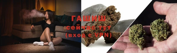 ECSTASY Белокуриха