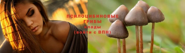 ECSTASY Белокуриха