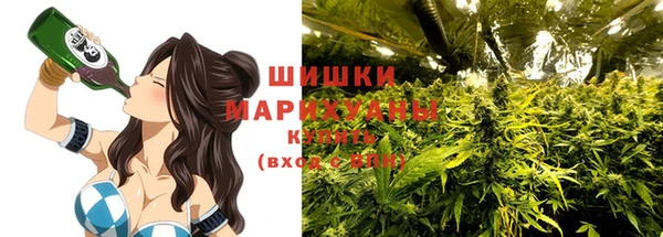 ECSTASY Белокуриха