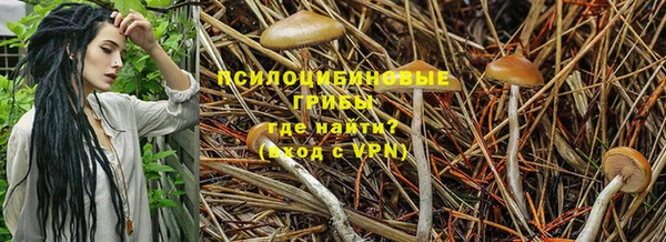 jwh Беломорск