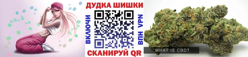 кракен зеркало  продажа наркотиков  Будённовск  Конопля марихуана 